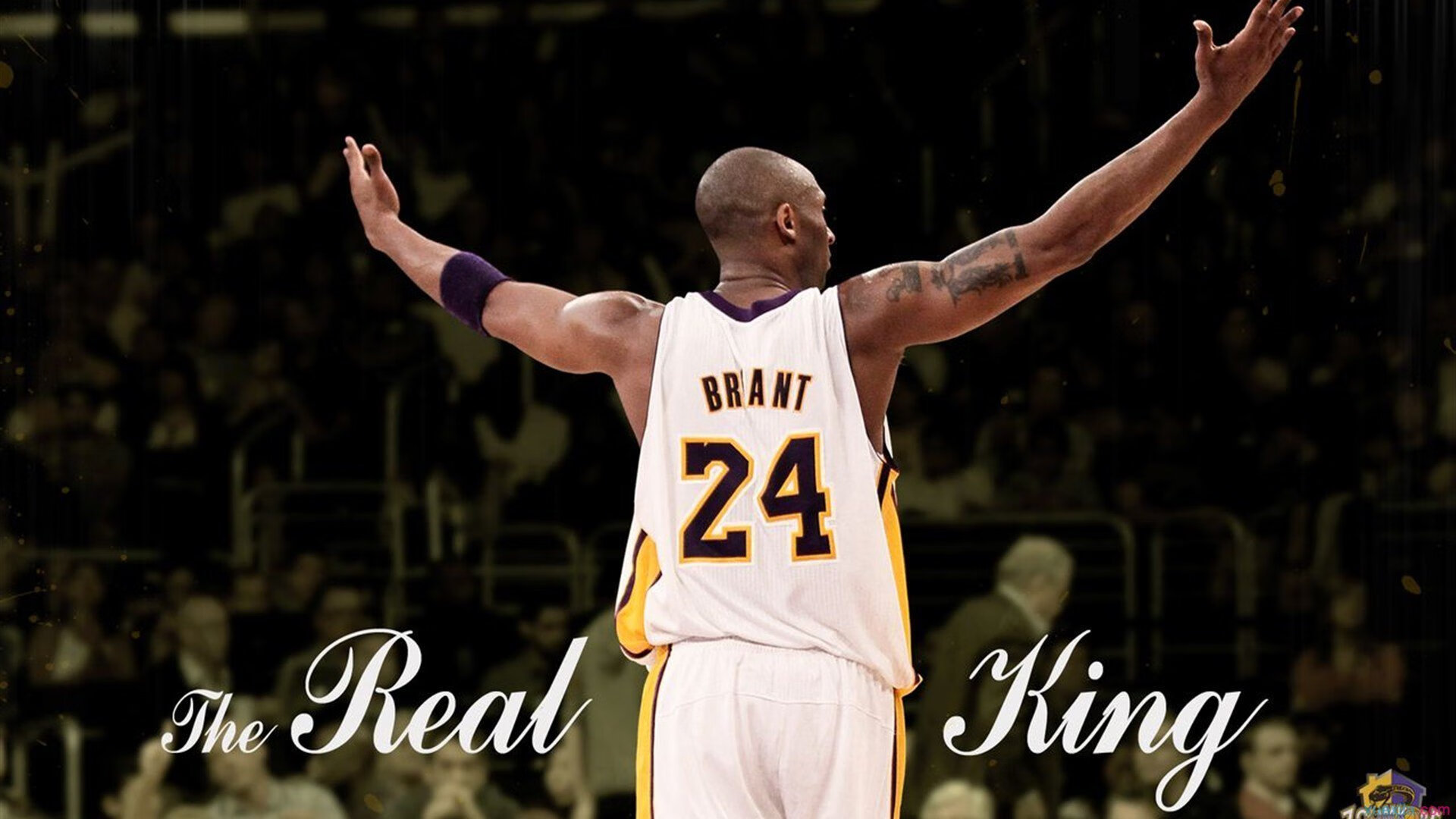 世界杯:球迷签证系统升级 一站式办理多国联动通行